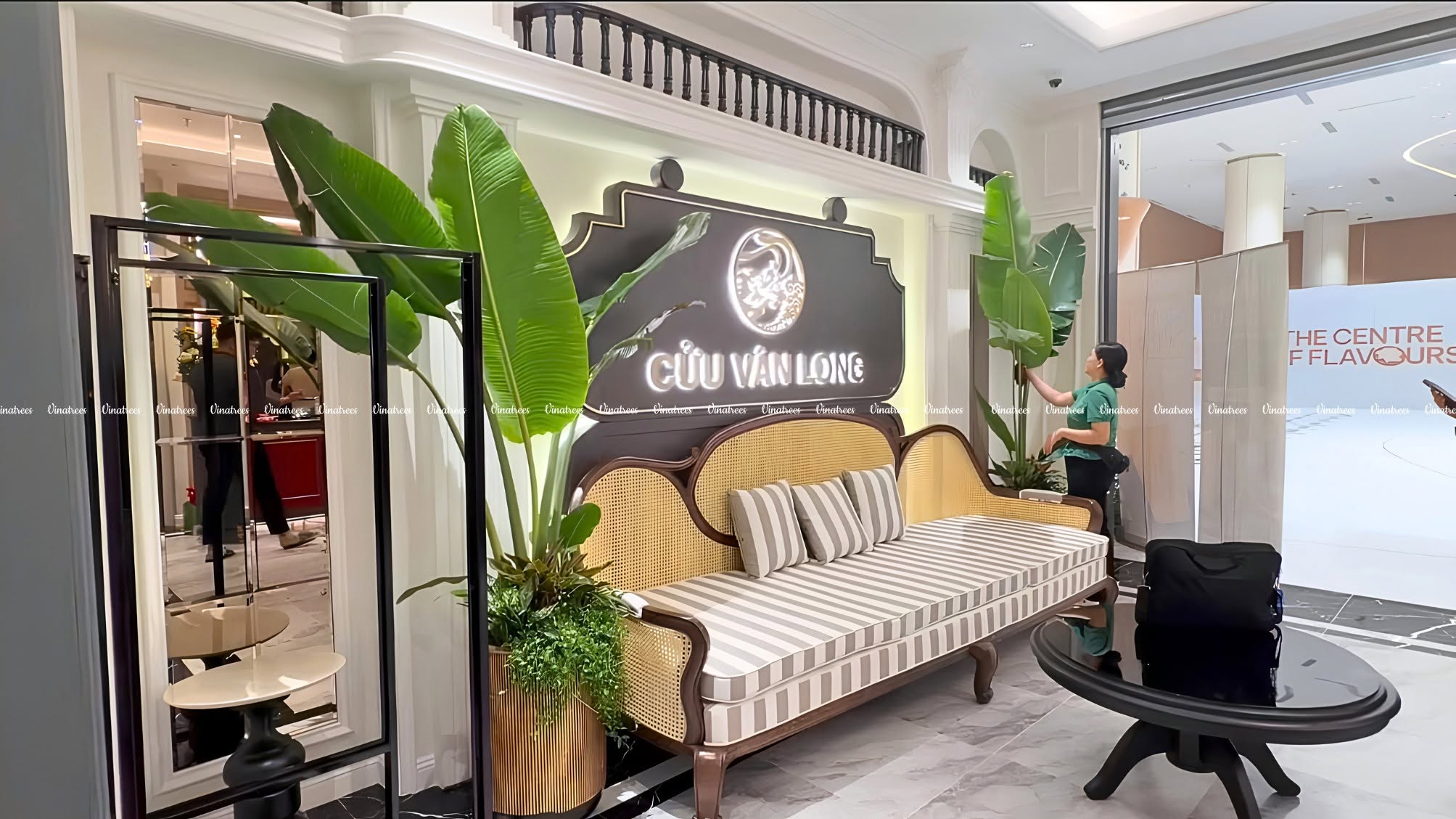 Vinatrees thiết kế cây xanh văn phòng tại nhà hàng Cửu Vân Long tại Hà Nội